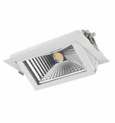 Projecteur led Encastré au plafond SINOPE IP40 LED COB 42W - 2745 lumens -Blanc- spécial viande, boucherie, charcuterie