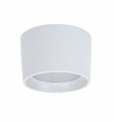 Plafonnier ou spot en saillie MIST IP55 GX53 LED Bulb 10W 1200lm-CRI80- CCT 3000K-4000 k-6500K Blanc